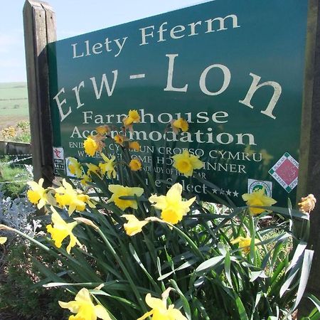 Erw-Lon Farm Bed & Breakfast Pontfaen ภายนอก รูปภาพ
