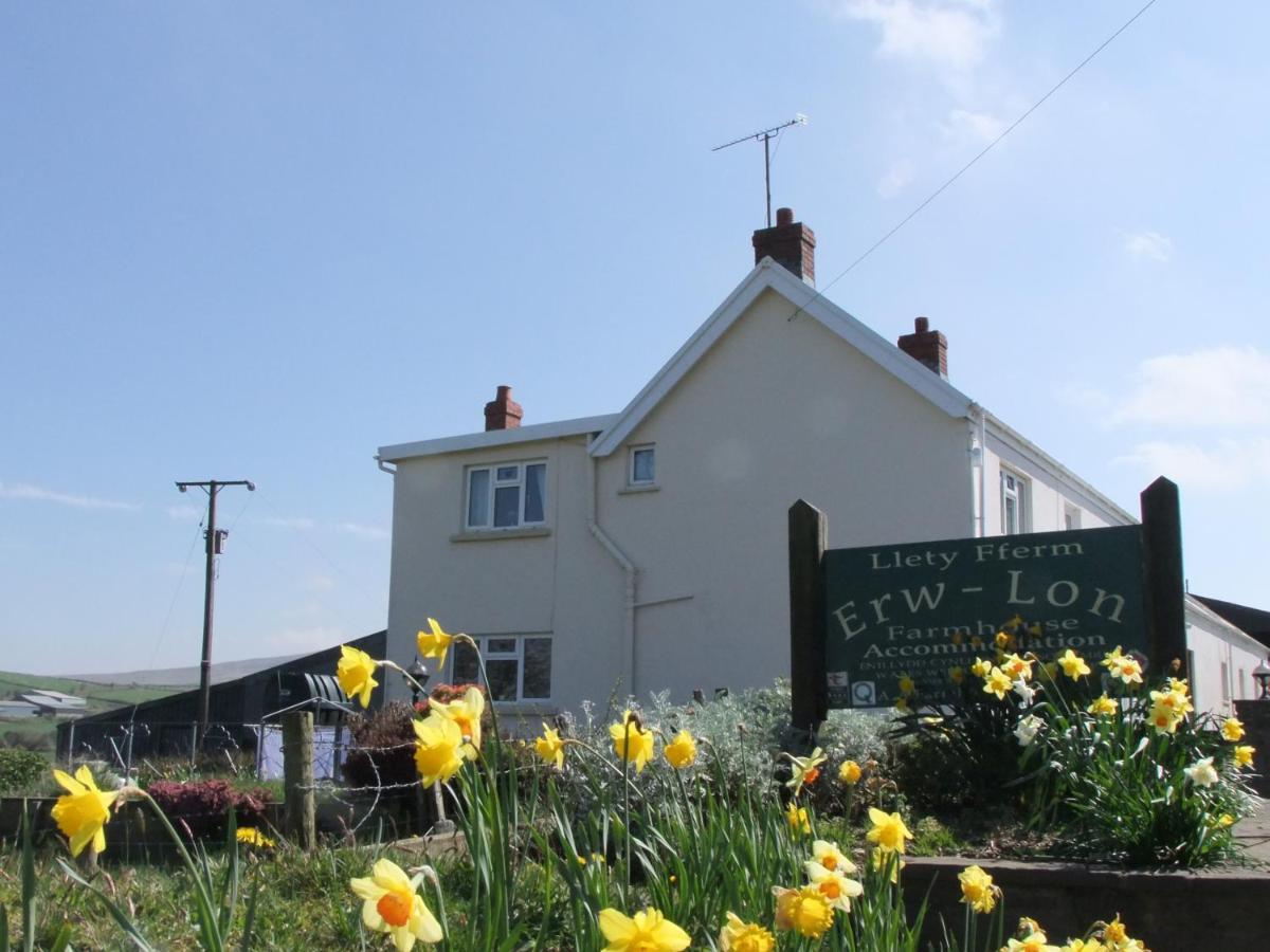 Erw-Lon Farm Bed & Breakfast Pontfaen ภายนอก รูปภาพ