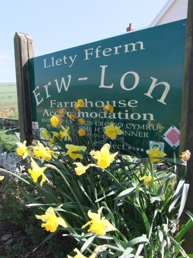 Erw-Lon Farm Bed & Breakfast Pontfaen ภายนอก รูปภาพ